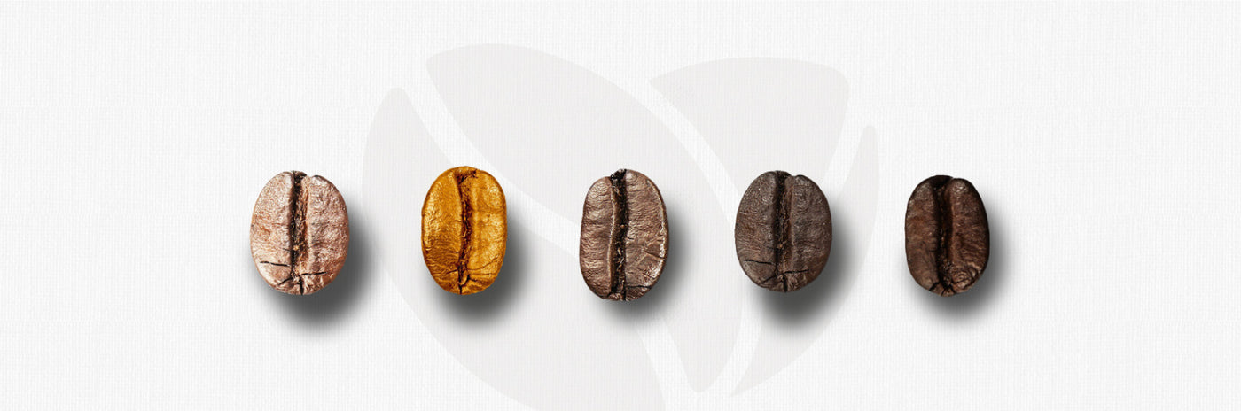 Different kinds of coffee beans displaying side by sides